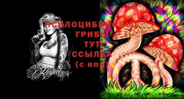 mdpv Арсеньев