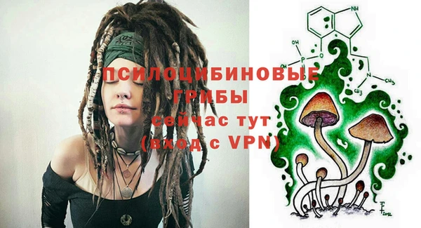 mdpv Арсеньев