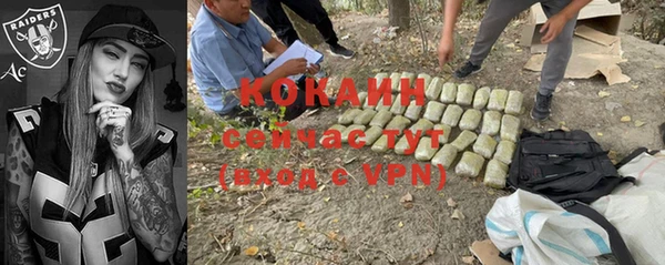 спайс Баксан