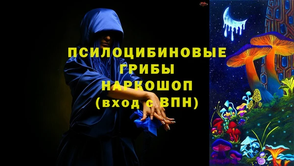 apvp Аркадак